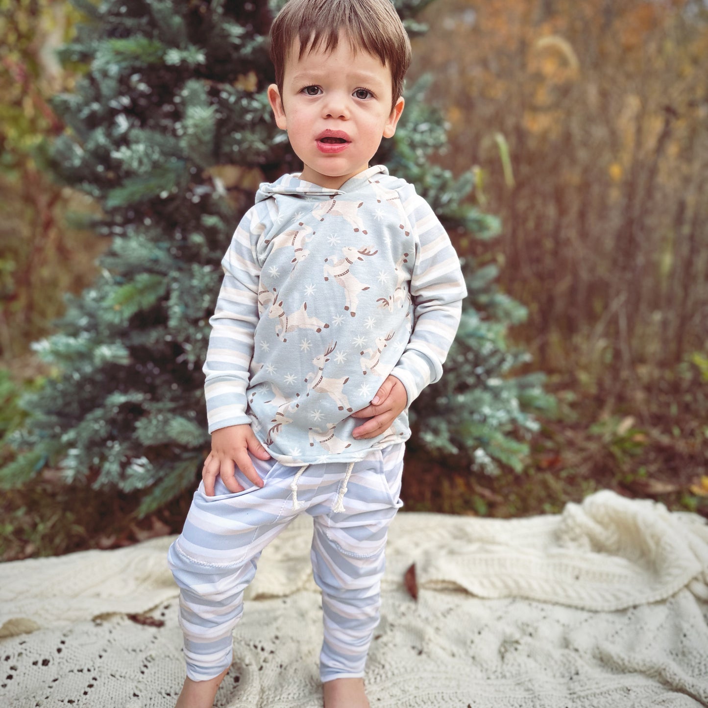 Reindeer Raglan Sweater