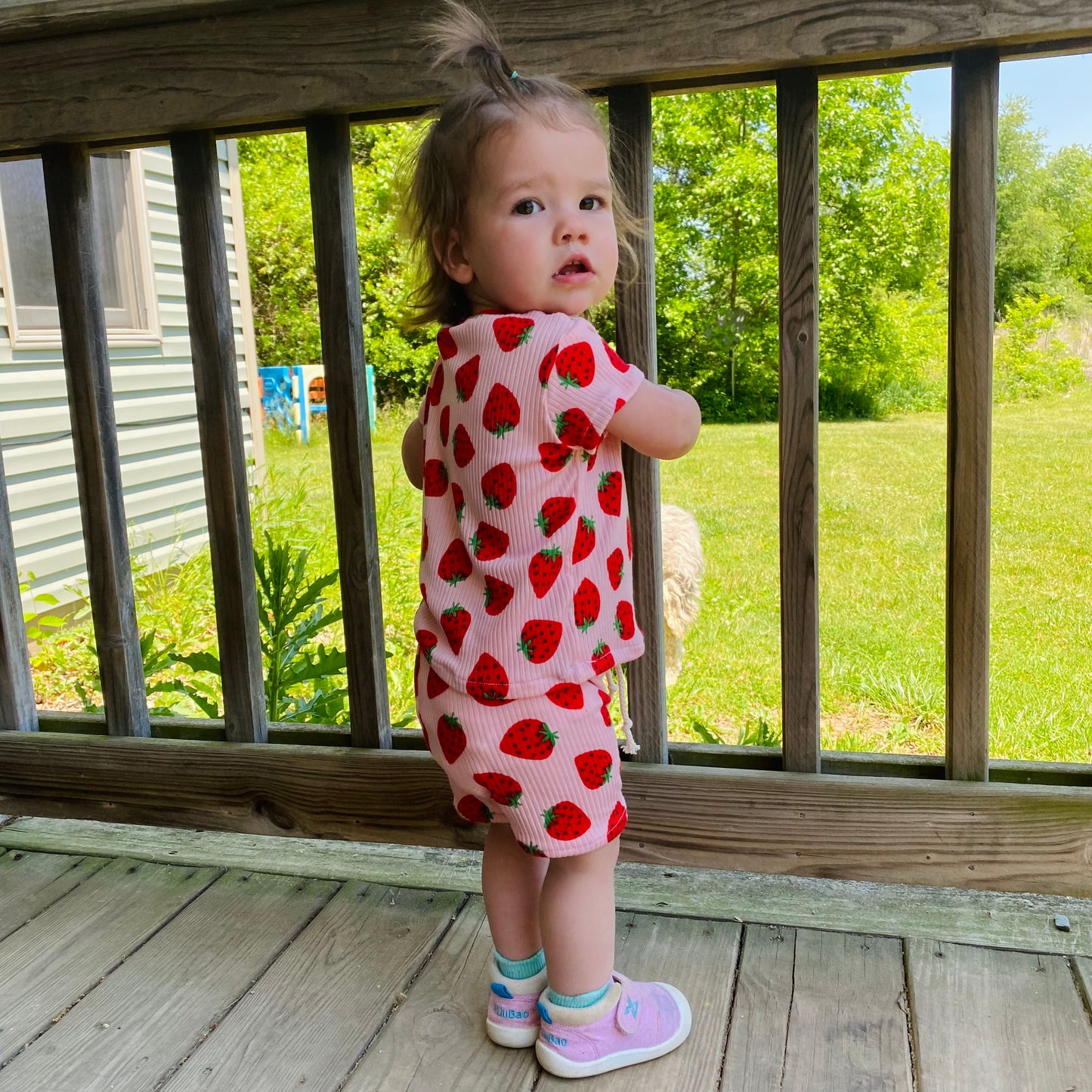 Strawberry Tee and Shorts Set