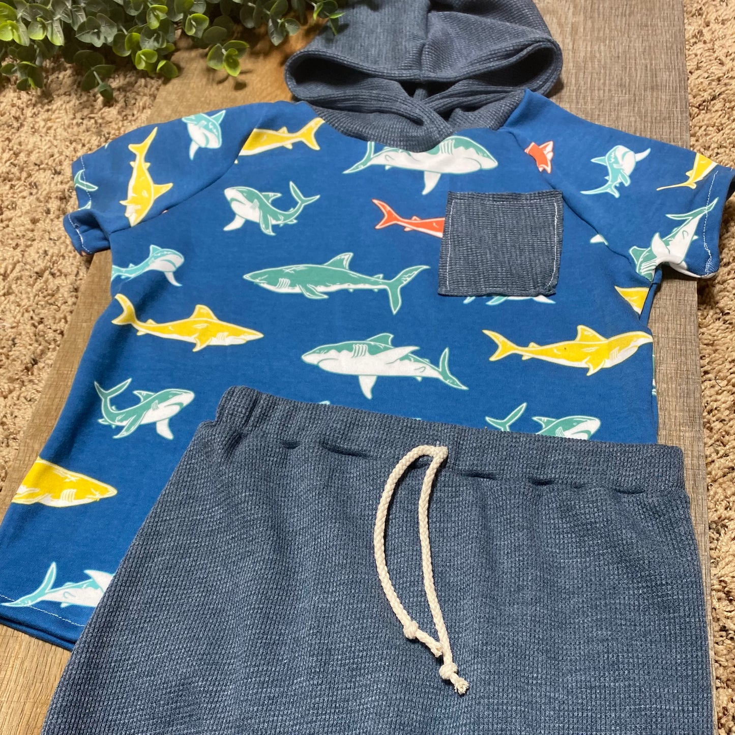 Sharks Raglan and Harem Shorts Set